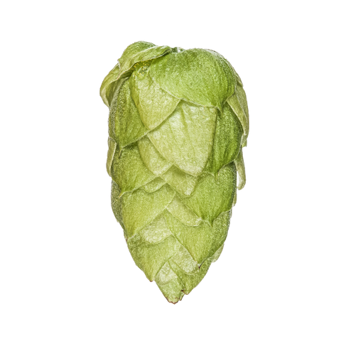 NZ Hops Ltd Hop Variety Riwaka