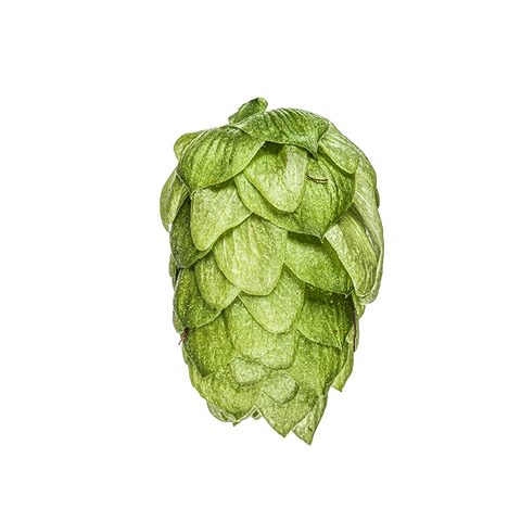 NZ Hops Ltd Hop Variety Wakatu