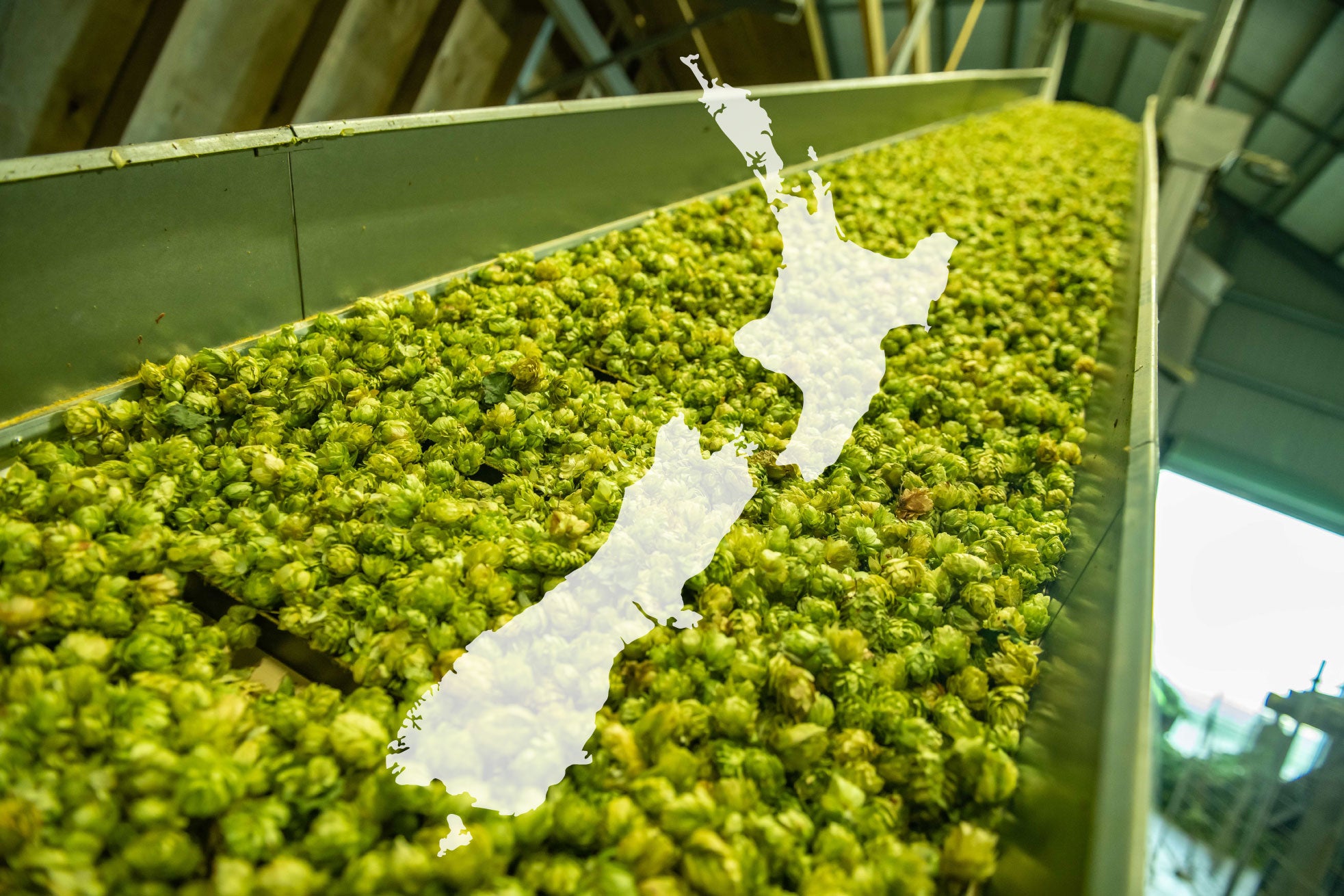 New Zealand & Rest of World Distributors