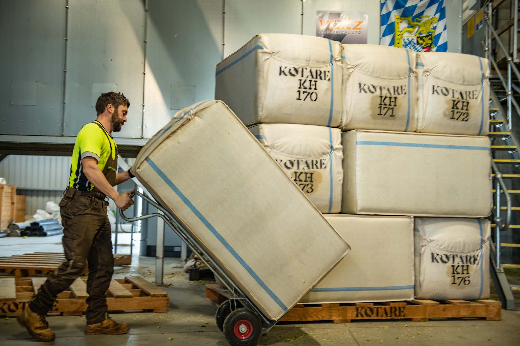 Global Hop Distributors | NZ Hops Ltd