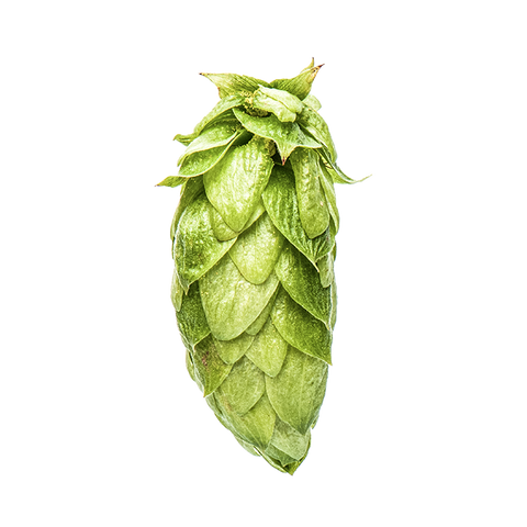 NZ Hops Ltd Hop Variety Nectaron®