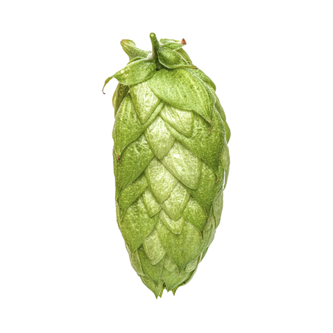 NZ Hops Ltd Hop Variety Waimea